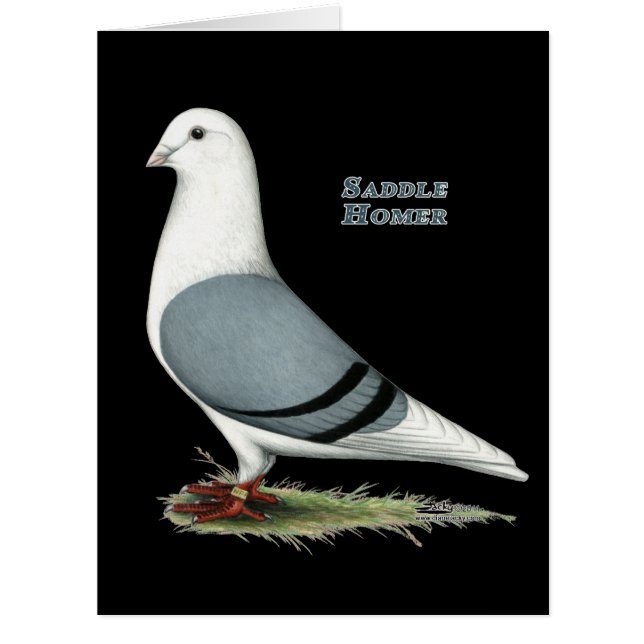 Homer Blue Saddle (Front)