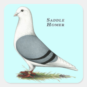 Homer Blue Saddle Square Sticker