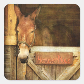 Homer the Mule Square Sticker