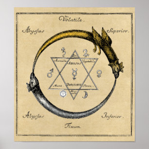 Homer's Dragons Ouroboros Poster