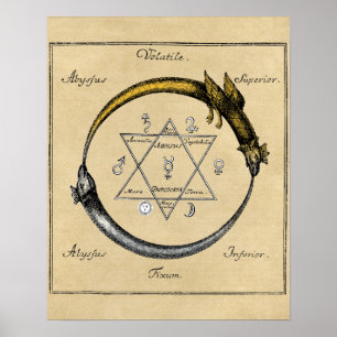 Homer's Dragons Ouroboros Poster