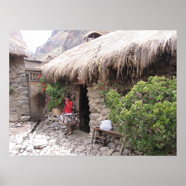 Homes of Peru Poster (Front)
