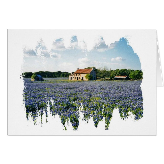 Homestead (Front Horizontal)