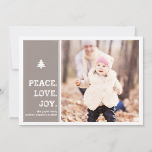 Homestead - Holiday Photo Card - Pink