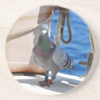 Homing Pigeon Coaster
