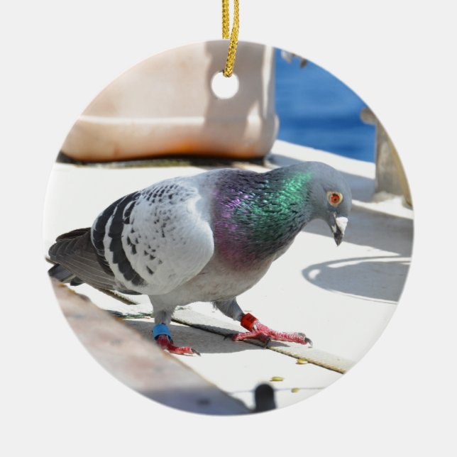 Homing Pigeon On A Yacht Ceramic Ornament (Front)
