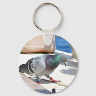 Homing Pigeon On A Yacht Keychain