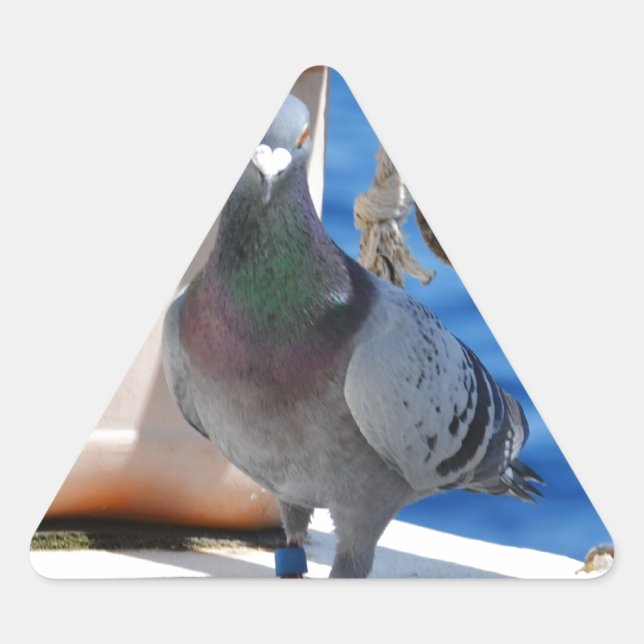 Homing Pigeon Triangle Sticker (Front)