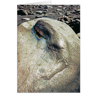 Hommage aux femmes andines/à carte se pliante