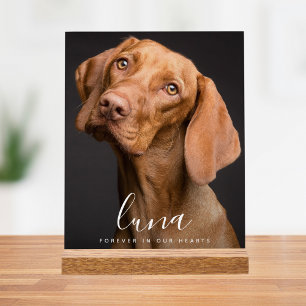 Hommage commémoratif aux animaux de compagnie