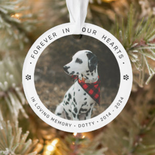 Hommage commémoratif en souvenir d'un animal de co
