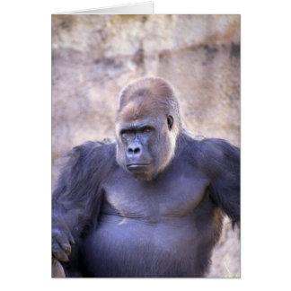 Homme Gorilla