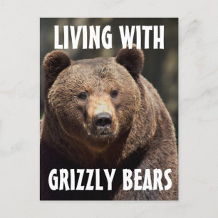 HOMME GRIZZLY VIVANT AVEC DES OURS CARTES POSTALES