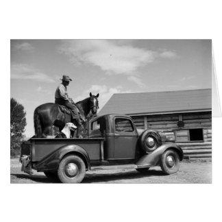 Homme sur un cheval avec un chien dans un camion