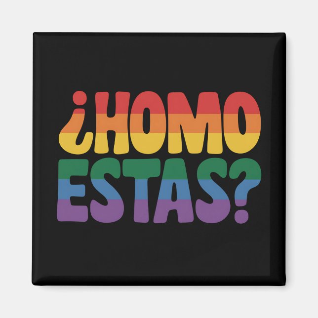 Homo Estas Funny Spanish Mexican Gay Ally LGBTQ Magnet (Front)