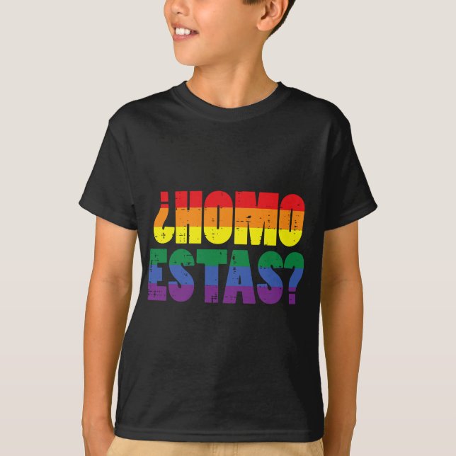 Homo Estas Spanish Mexican Funny Gay Pride Ally LG T-Shirt (Front)