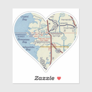 Homosassa Springs Vintage Map