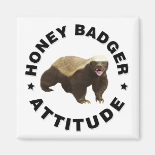 Honey badger has attitude  magnet