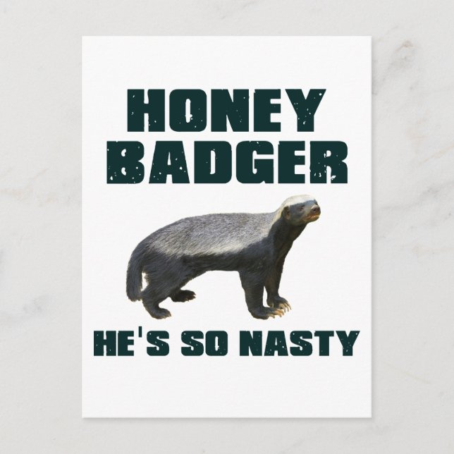 Honey Badger He's So Nasty Postcard (Front)