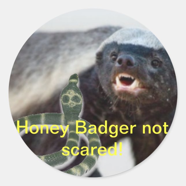 honey badger not scared classic round sticker (Front)