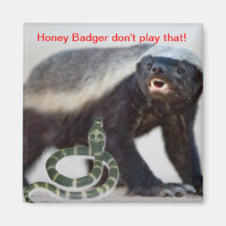 honey badger not scared magnet
