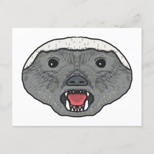 Honey Badger Postcard
