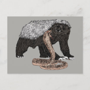 Honey Badger verses snake illustration Postcard
