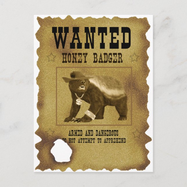 Honey Badger Wanted Poster Postcard (Front)