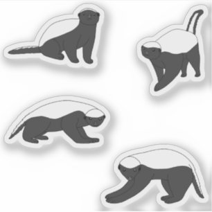 Honey Badgers