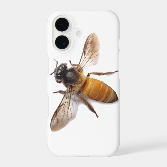 Honey Bee (Back)