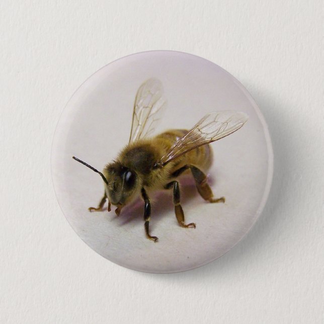 Honey bee 2 inch round button (Front)