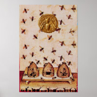 HONEY BEE ,BEEKEEPING,BEEKEEPER