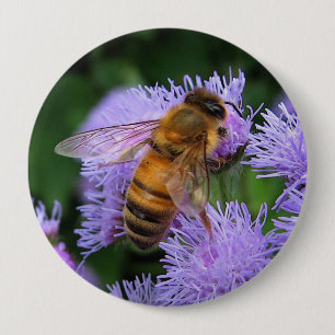 Honey Bee Button