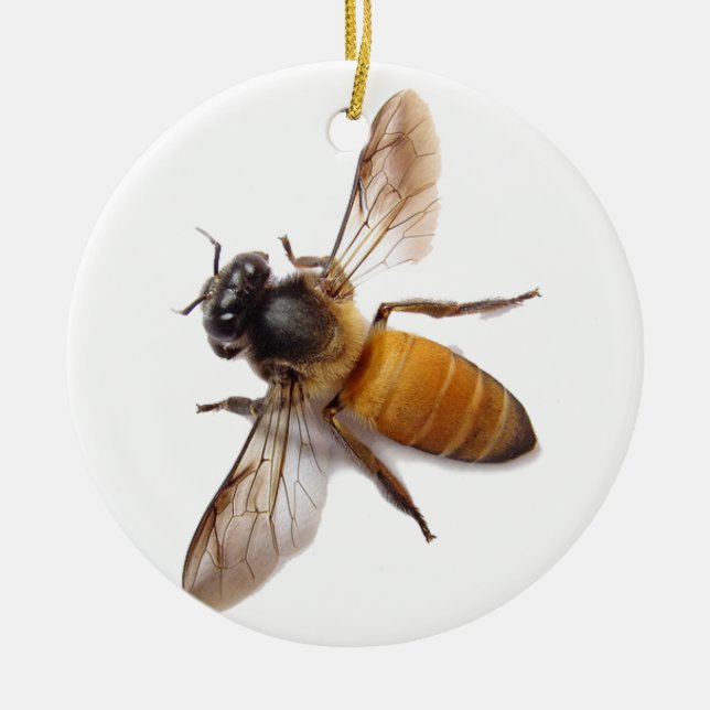 Honey Bee Ceramic Ornament (Front)