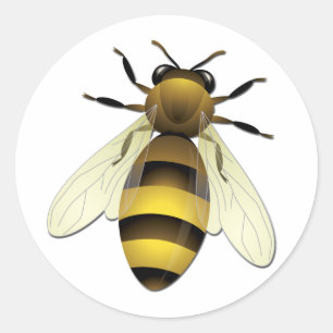 Honey Bee Classic Round Sticker