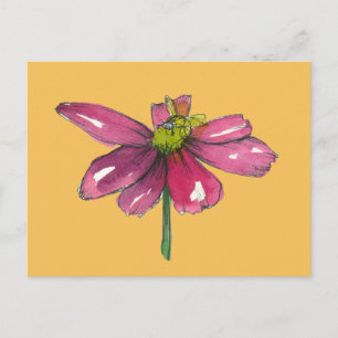 Honey Bee Daisy Flower Burnt Orange Postcard