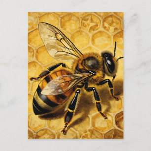 Honey Bee Honeycomb Golden Nature Postcard