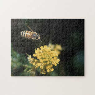 honey bee jigsaw puzzle