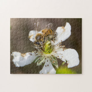 Honey bee jigsaw puzzle