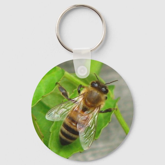 Honey Bee Keychain (Front)