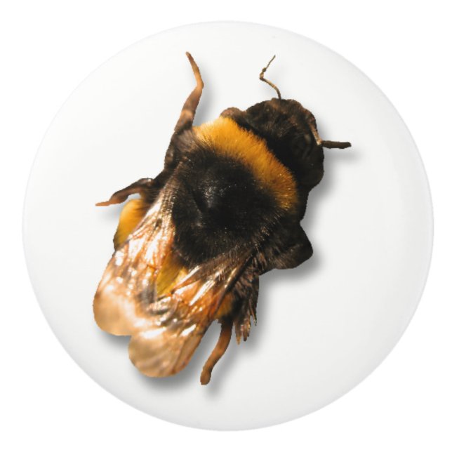 Honey bee knob (Front)