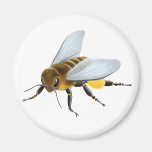 Honey Bee Magnet