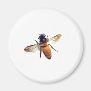 Honey Bee Magnet
