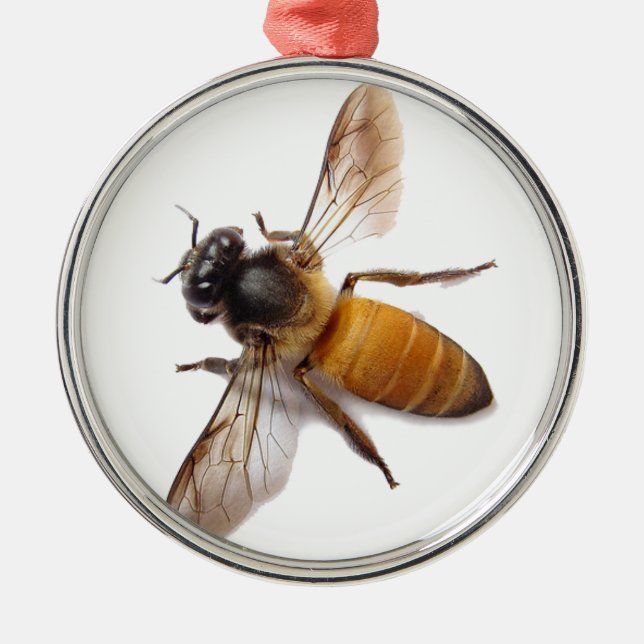 Honey Bee Metal Ornament (Front)