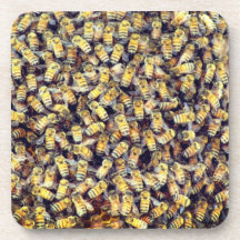 Honey Bee Mine Coaster