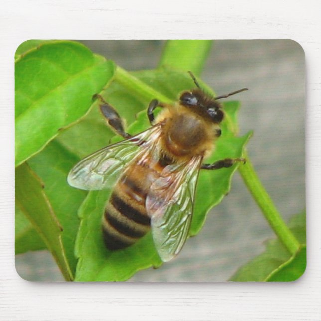 Honey Bee Mouse Pad (Front)