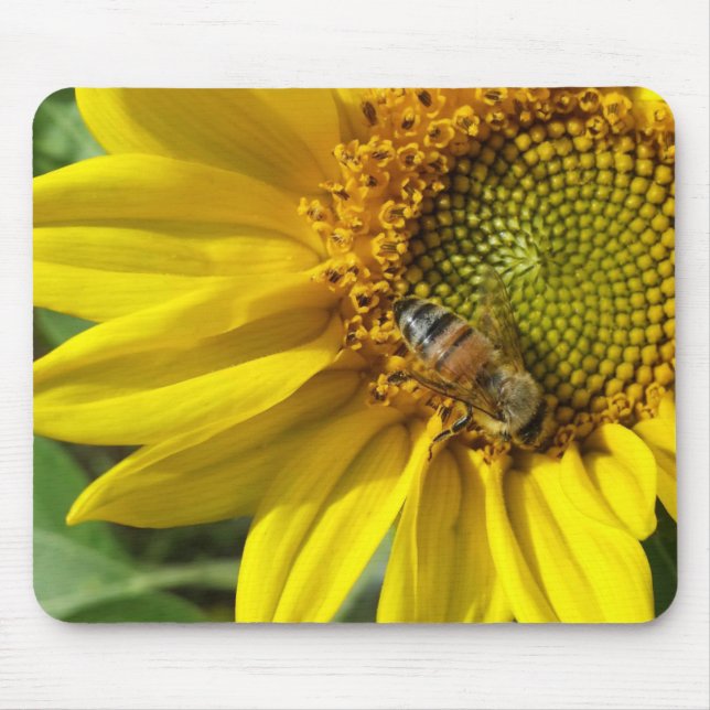 Honey bee of Yellow Sunflower Mouse Pad (Front)
