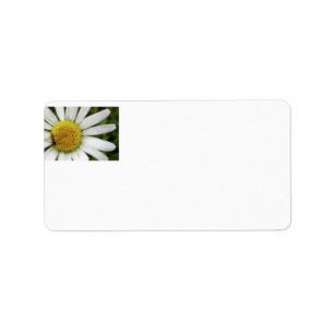 Honey Bee on a Daisy Label