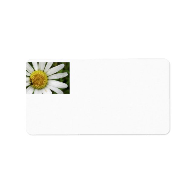 Honey Bee on a Daisy Label (Front)