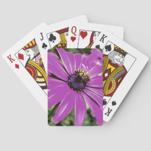 Honey Bee On A Purple African Daisy Art Playing Cards